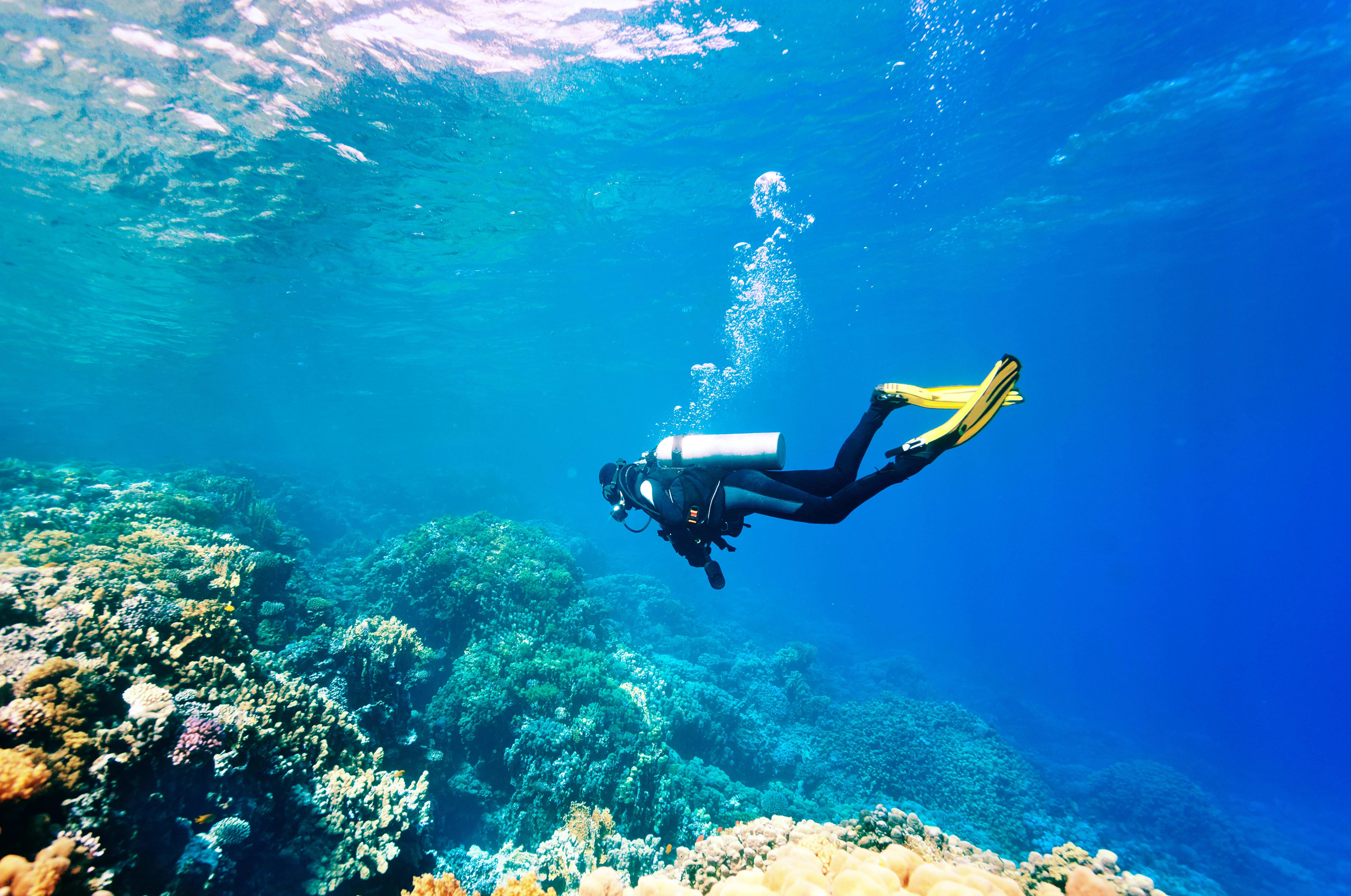 Aviation & Diving Medicals